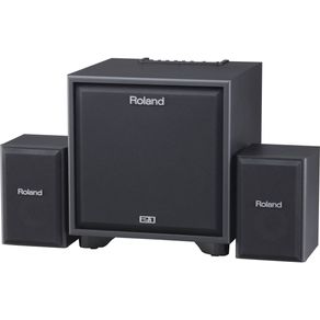Monitor Cube CM-220 - Roland