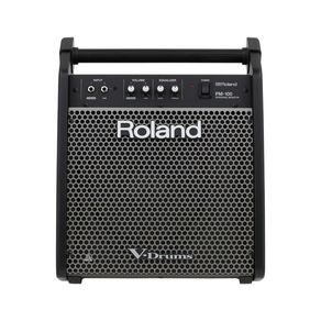 Monitor Pessoal PM-100 - Roland