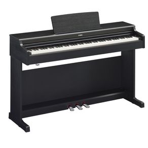 YDP-164