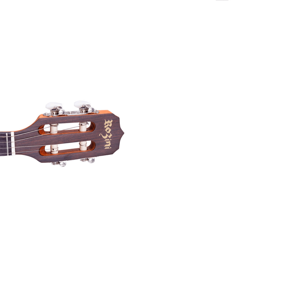 Banjo-Studio-Eletrico-RJ-10-EL.N.LP---Rozini-2